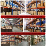 Pumpkin Seed Protein Supplier - Seed Extract Fatty Acid