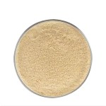 Soybean Phosphatidylserine Supplier - 50% Powder OEM