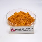 Turmeric Curcumin Extract Manufacturer - 95% Powder Organic