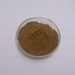 Oyster Mushroom Extract Manufacturer - Polysaccharides Powder