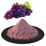 Grape Juice Powder Supplier - Natural Fruit Extract