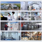 Spirulina Powder Factory - Aquarium Fish Food Grade