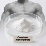 Creatine Monohydrate Factory - 100% Pure Powder