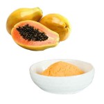 Papaya Juice Powder Supplier - Natural Fruit Extract