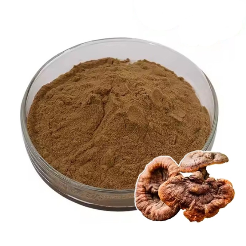 Reishi Mushroom Powder Manufacturer - Ganoderma Extract