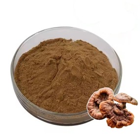 Reishi Mushroom Powder Manufacturer - USDA Organic Extract