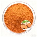 Curcumin Powder Factory - 95% Food Grade Tumeric