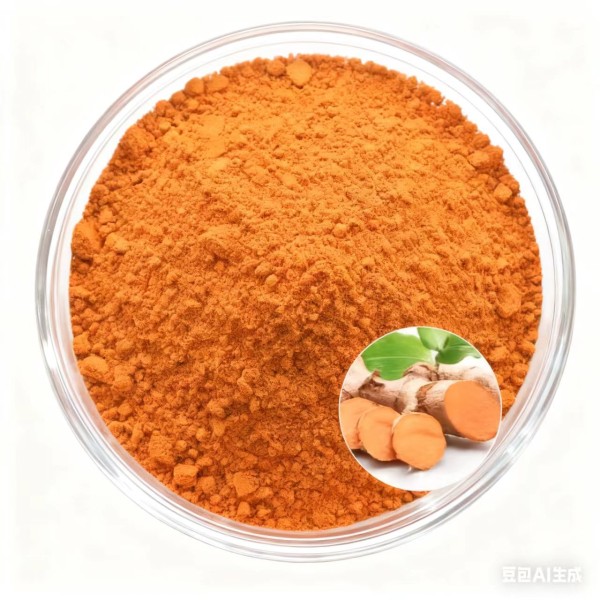 Curcumin Powder Factory - 95% Food Grade Tumeric