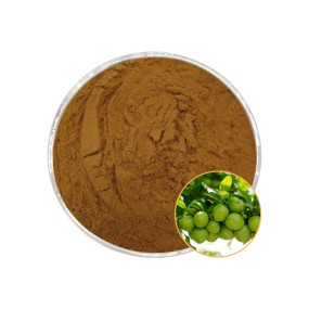 Kakadu Plum Extract Powder Supplier - OEM Custom 10:1