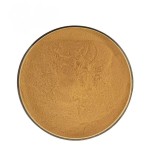 Lion's Mane Extract Supplier - 30% 50% Powder Capsules