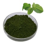 5-HTP Powder Supplier - Griffonia Seed Extract