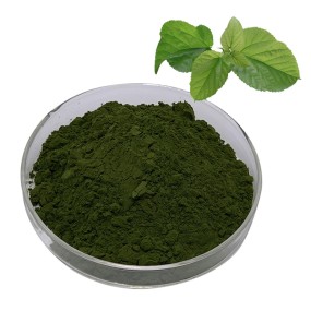 5-HTP Powder Supplier - Griffonia Seed Extract