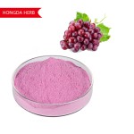 Grape Juice Powder Supplier - Natural Fruit Extract