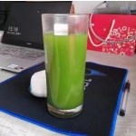 Matcha Tea Powder Manufacturer - Bread Drinks Organic