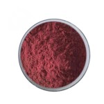Hibiscus Flower Extract Supplier - 20:1 Powder Organic
