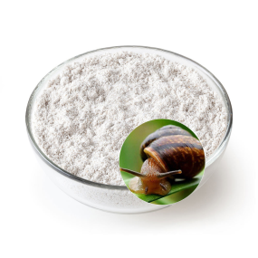 Snail Slime Extract Manufacturer - Powder Cosmetic