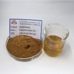 Reishi Mushroom Powder Manufacturer - USDA Organic Extract