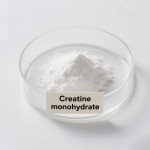 Creatine Monohydrate Factory - 100% Pure Powder