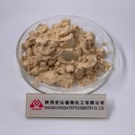 Chickpea Protein Manufacturer - Organic Isolate Powder