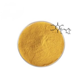 Coenzyme Q10 Supplier - Water Soluble Powder Halal