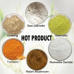 Shiitake Mushroom Powder Supplier - Organic Extract