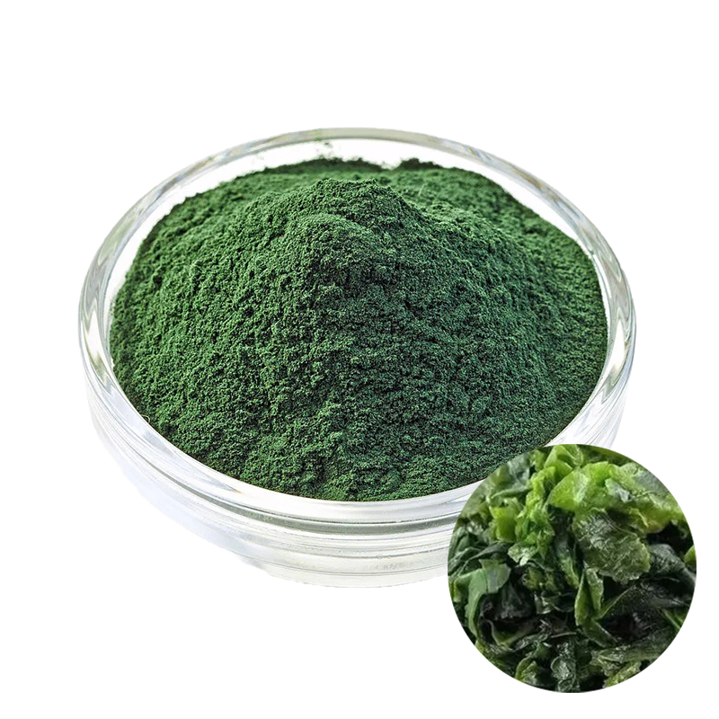 Spirulina Powder Factory - Aquarium Fish Food Grade