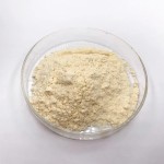 Royal Jelly Powder Supplier - 4% Freeze Dried 10-HDA