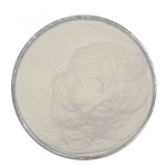 Fish Collagen Powder Factory - 98% Peptide Scales