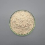 Monk Fruit Sweetener Manufacturer - Mogroside V Extract