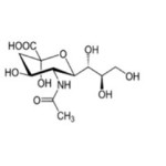 BCAA Powder Factory - 2:1:1 Amino Acid Supplement