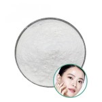 Ceramide NP Supplier - 99% Powder CAS 100403-19-8