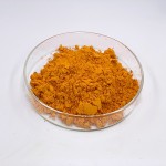 Turmeric Curcumin Extract Manufacturer - 95% Powder Organic