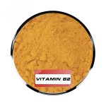 Riboflavin 5-Phosphate Manufacturer - Sodium CAS 130-40-5