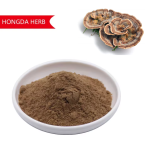 Turkey Tail Mushroom Supplier - Extract Powder Chaga