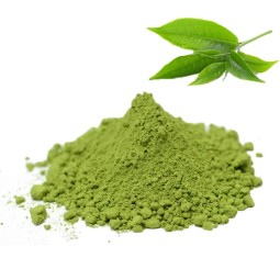 Matcha Tea Powder Manufacturer - 100% Pure Organic