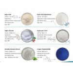 Zinc Glycinate Powder Factory - Food Supplement