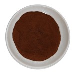 Black Pepper Extract Manufacturer - 98% Bioperine Piperine