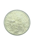 L-Serine Powder Supplier - 99% High Pure Food Grade