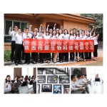 Moringa Powder Factory - Leaf Extract Wholesale