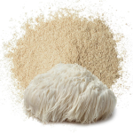 Lion's Mane Powder Supplier - Organic Mushroom Extract