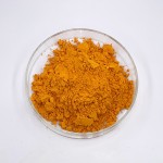 Turmeric Curcumin Extract Manufacturer - 95% Powder Organic