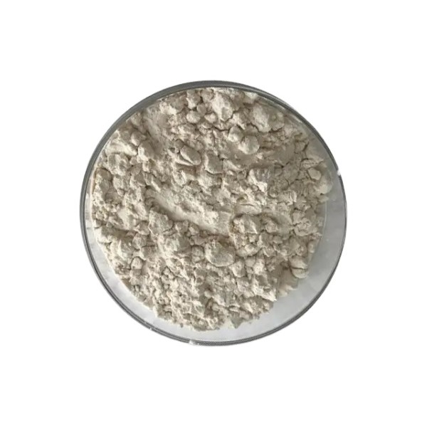 Monk Fruit Sweetener Manufacturer - Mogroside V Extract