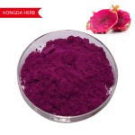 Dragon Fruit Powder Factory - Juice Extract Hot Sales