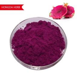 Dragon Fruit Powder Factory - Juice Extract Hot Sales