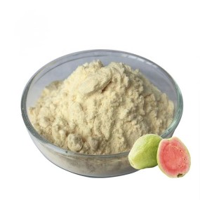 Guava Extract Powder Factory - Organic Freeze Dried