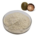 Thaumatin Powder Factory - 99% Pure Natural Sweetener