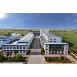 NADP Powder Factory - 99% CAS 1184-16-3