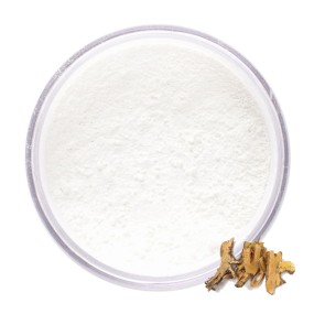 Lactobacillus Rhamnosus Manufacturer - Food Grade Probiotics
