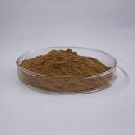 Oyster Mushroom Extract Manufacturer - Polysaccharides Powder