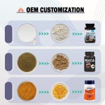 Glutathione Powder Supplier - USP Grade Capsules